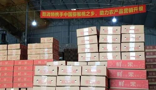 酷消銷再獲信任，金融中介服務(wù)將助力天水花牛蘋果營銷新篇章